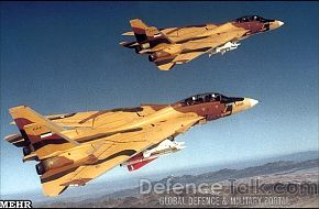 Iranian F-14