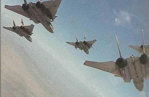 Iranian F-14