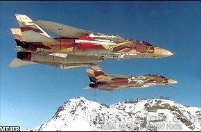 Iranian F-14