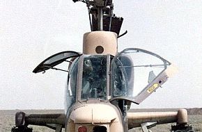 Iranian Cobra