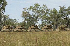 Australian Army Leopards in the scrub