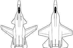 Possible Future design for PAK FA project