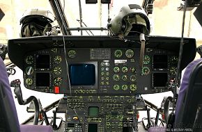 Cougar Cockpit