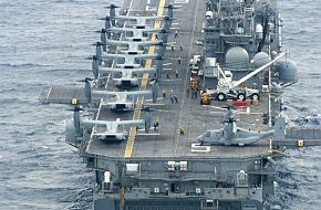 Osprey on deck