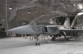 Gripen during cold environmental hangar test