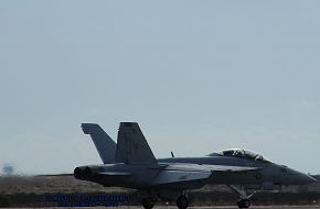 US Navy  F/A-18F Super Hornet