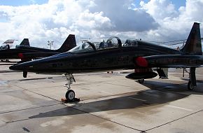 USAF T-38 Talon Jet Trainer