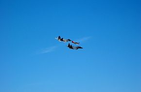 Air Force heritage flight - NBVC Air Show 2007