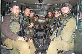 Infantry Soldiers - Israeli Defense Force