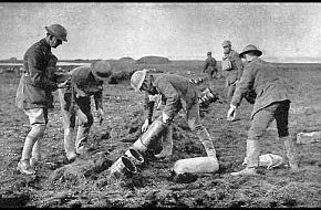 War Picture - World War One