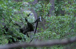 Swedish Army Exercise - Combined Challenge 2007