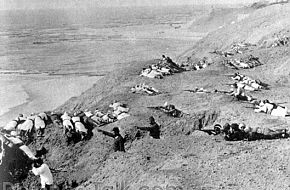 The Battle of Gallipoli - World War One