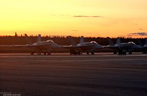 Navy F/A-18 Hornets - Red Flag 2007