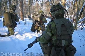 Swedish National Home Guard