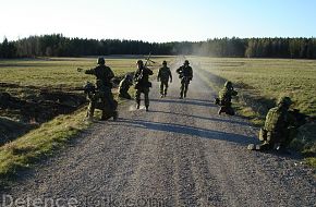 Swedish National Home Guard