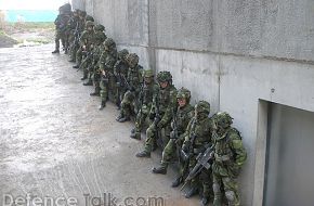 Swedish National Home Guard