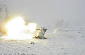 Swedish National Home Guard