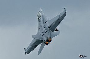 F-18 - Paris Air Show 2007 Picture