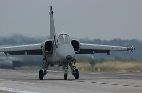 AMX - Italian Air Force OPEN DAY 2007