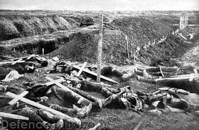 The Dead during the World War One (CAUTION)