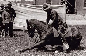 cnp_horsemanship_01