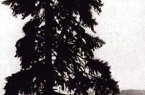 cnp_op_camp_lewis_01
