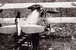 cnp_spad_01