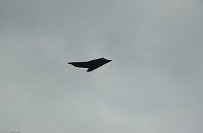 F117 Stealth