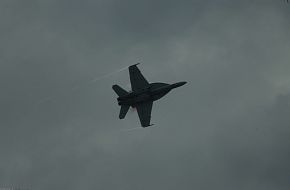 Super Hornet F-18 E/F