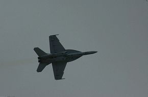 Super Hornet F-18 E/F