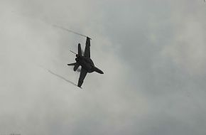 Super Hornet F-18 E/F