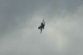 Super Hornet F-18 E/F