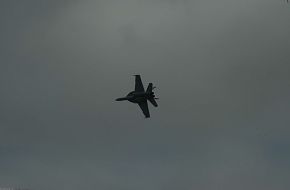 Super Hornet F-18 E/F