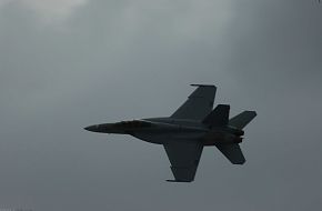 Super Hornet F-18 E/F