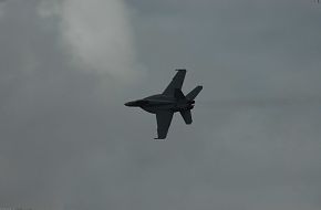 Super Hornet F-18 E/F