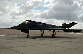 F117 Stealth Fighter