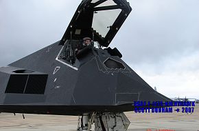 USAF F-117A Nighthawk Stealth Attack Aircraft