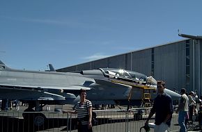 SAAF Gripen at Africa Aerospace and Defence 2006