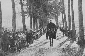 gw_mulecolumn_01