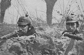 gws_belgianviscount_01