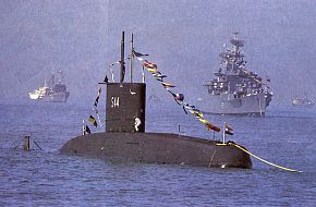 INS Shishumar