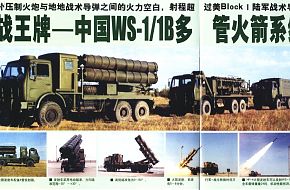 WS-1/1B MLR System