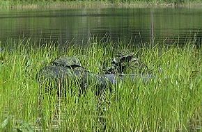 Canadian Troops in Exercise