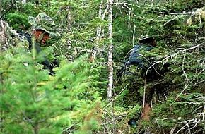 Canadian Troops in Exercise