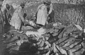 nw_dead_galician_01