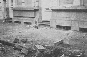 nw_shell_antwerp_01
