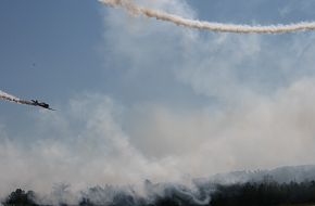 The Great Georgia Airshow 2007