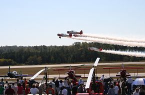 The Great Georgia Airshow 2007