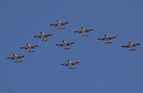 Sherdils, PAF Aerobatic team