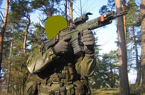Swedish Military